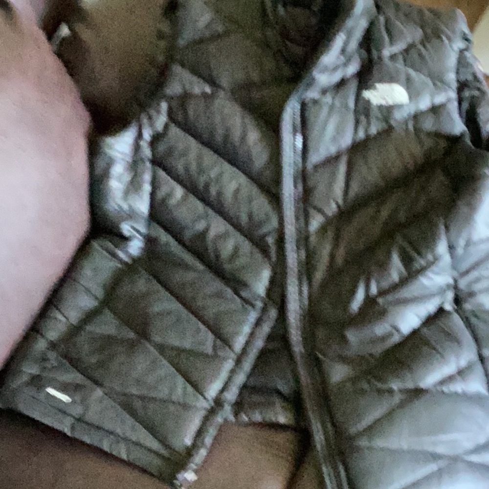 The North Face puffy vest